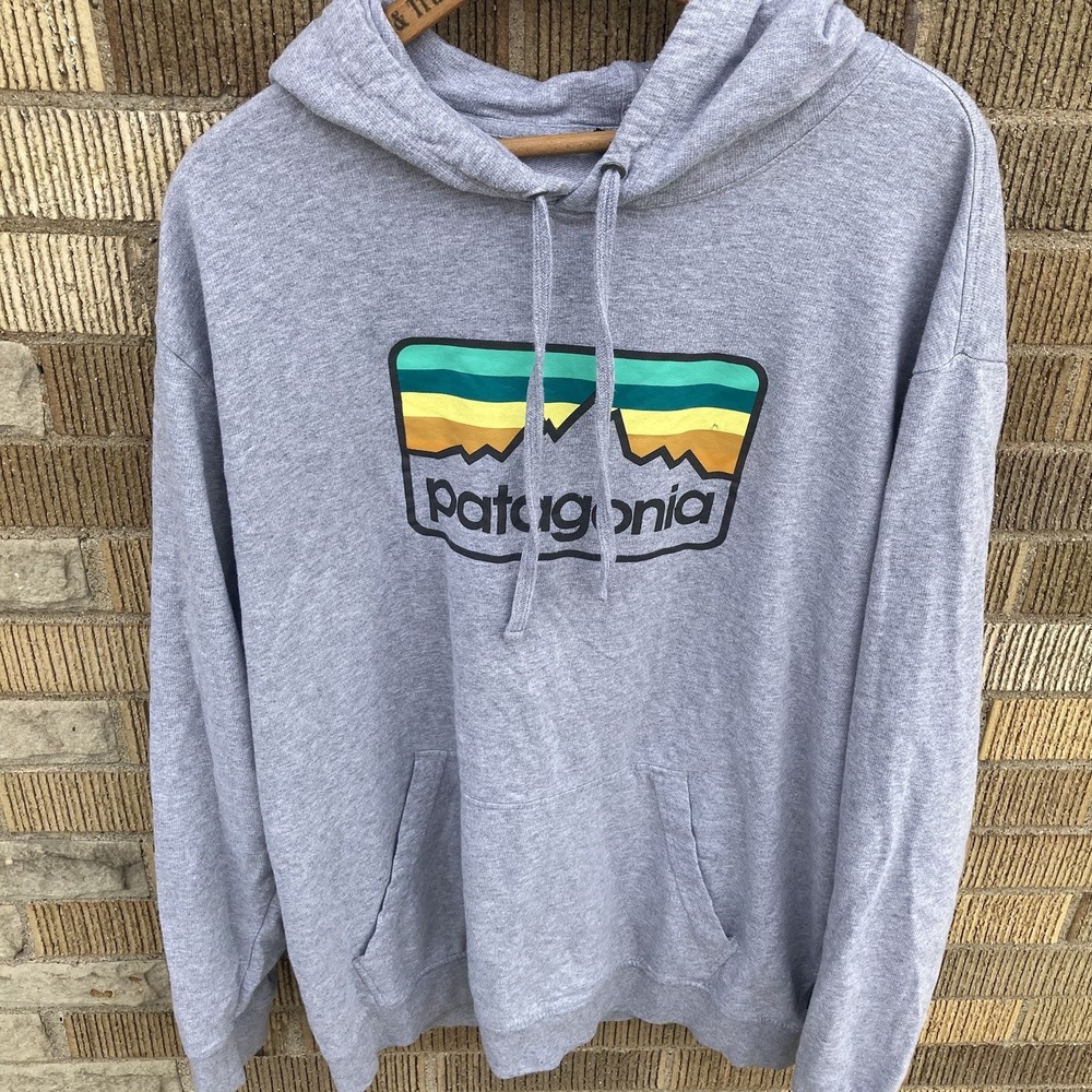 Patagonia Big Logo Hoodie Men's XL Gray Rare Mountain Logo‎ Soft Color Palette